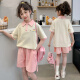 Beihaiqu Children's Clothing Girls' Suits Summer Clothes Children's Summer Middle and Large Children's POLO Shirts Casual Pants Two-piece Set Girls' Summer Clothes Pink 130 Sizes (Recommended Height 115-125 cm)