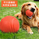 Pochido dog toy ball large size self-pleasure relief artifact pet border animal golden retriever bite-resistant ball training molar elastic ball