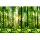 ZHEWEI-Wanddekoration Malmalerei 3D dreidimensionale Tapete Desktop-Aufkleber Wandbilder natürliche Waldlandschaft selbstlebig SN3892 Sea Broad Sky Zahlenbreite 300 cm * Höhe 200 cm Spleiß ohne