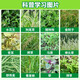 Eastern Sichuan pesticide cyclazinone copper weed killer, large trees, bamboos, shrubs, rotten roots and dead roots, special pesticide herbicide 500g
