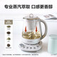 Buydeem Tea Extraction Health Pot Professional Extraction Tea Maker Household 1.5L Glass Constant Temperature Kettle Multifunctional Adjustable Darkness Kettle Good Gift K156 Oat White | Tea and Coffee Extraction | (Including Extraction Basket) 1.5L
