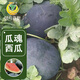 Fengming Yashi black seedless watermelon seeds thin skin large super sweet southern seedless black watermelon seeds 100 capsules