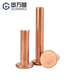 Guwanji flat head rivets GB 109 red copper rivets 304 flat head solid rivets stainless steel rivets hand hammered percussion flat bolt fasteners red copper M8x12 5 pcs