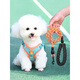 Tang Chong Dog Rope Dog Leash Small Dog Walking Rope Harness Bichon Teddy Pomeranian Puppy Chain Orange + 3m Automatic Retractable Rope M (Recommended Weight 7-13Jin Jin is equal to 0.5kg)