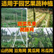 Qinkai Cucumber, Bitter Melon, Luffa, Hanging Melon, Bean, Passion Fruit and Yam Net, Plant Climbing Net, Climbing Planting Agricultural Net, 8*100 meters, 12 holes, 30 passion fruit