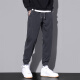 Pantalones casuales de pájaros carpinteros para hombres Coritos sueltos en verano Nuevo estilo Harun Trendy Workwear Pantalones deportivos versátiles para hombres 9859 Gray Plus Velvet XL
