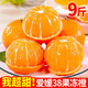 CAITI Sichuan Ehime No. 38 Jelly Orange Orange Big Fruit Fresh Fruit Honey Orange Hand Peeled Orange Sweet Orange 10 Jin Jin equals 0.5 kg Full box 5 Jin Jin equals 0.5 kg Selected large fruit gift box