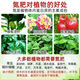 Xinlianxin genuine agricultural urea high nitrogen fertilizer for vegetables, flowers and fruit trees, general fertilizer, chemical fertilizer, organic compound fertilizer 80 Jin Jin equals 0.5 kg Ten Jin Jin equals 0.5 kg Two packages Authenticity guaranteed