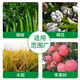 Guoguang Xiugong 1.2% octamine acetate tomato pepper fruit tree seedlings virus disease rot disease fusarium wilt 1 liter
