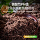 Pin's matrix peat soil organic nutrient soil universal type Danish imported planting soil flower planting soil peat soil 0-10mm universal type 80L*1