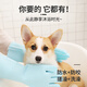 Huayuan Pet Equipment (hoopet) pet bathing gloves, dog bathing gloves, cat bathing artifact, anti-scratch and bite bath brush, massage and cleaning utensils, bath magic gloves, anti-scratch and bite bathing gloves-30cm long