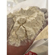 Wudeli New National Standard Flour GBT1355-2021 Shaanxi Farm Wheat harina sin aditivos con tendón medio de germen Harina blanca 70 harina 5 Jin [Jin equivale a 0.5 kg]