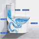 55cm small apartment household small size short siphon type high-impact toilet toilet Chaozhou 55cm siphon type + package installation 200mm