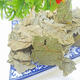 Green Money Willow laisse de nouvelles marchandises Zhangjiajie Gold Money Willow Arbre antique Green Money Willow 1 sac 1000g