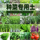 Seasonal high-quality balcony vegetable and flower planting soil, universal natural organic vegetable and green planting soil, nutrient soil large bag 30Jin Jin is equal to 0.5 kg. Selected balcony vegetable and flower cultivation nutrient soil, nutrient soil