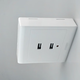 USB socket panel Specifications two-position USB