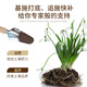 Manlife Pure Sheep Manure Fermented Organic Fertilizer for Vegetable Gardens About 10 Jin Jin is equal to 0.5 kg Farmhouse Flower Fertilizer Green Plant Potted Ripe Sheep Manure Egg Fertilizer
