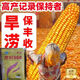 Wholesale corn seeds, short stems, double stems, drought and waterlogging resistance, disease resistance and lodging resistance, Academy of Agricultural Sciences National Approval, Jingke 968-4000 grains, one acre of land