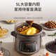 Joyoung quick-stewing electric stew pot, electric casserole, electric stew pot, soup pot, soup pot, multifunctional pot, purple casserole, bird's nest stew pot, porridge cooker, soup pot, porridge electric cooker, purple sand 5L GD505