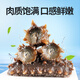 Guanshentang Dalian ready-to-eat sea cucumber 1Jin Jin is equal to 0.5kg 7-10 pieces Frozen sea cucumber seafood simple package more than 85% solid content
