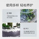 Shangyang Perlite 3L gardening succulent soil granular paving stone beautiful soilless cultivation matrix plant planting nutrient soil