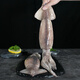 Fresh and frozen large squid 2-4 pieces net weight 1.2-1.3Jin Jin is equal to 0.5kg Teppanyaki squid hot pot barbecue ingredients seafood soft feet