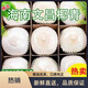 Xianyouji Hainan Coconut Wenchang Peeled Green Coconut Replenishes Amniotic Fluid for Pregnant Women Fruit Large Fruit Fresh Coconut Picked Now 9 Pieces + Coconut Opener Straw (Single Fruit 900g+