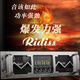 Ridiss professional power amplifier dual-channel four-channel high-power professional audio stage sound performance engineering home KTV pure power amplifier R-A15 (1500*4)