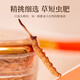 Tongfu Cordyceps sinensis 2-3 roots/g 100g About 250 roots gift boxes, nourishing nutritional products, gifts for elders