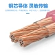 Akihabara CHOSEAL audio cable audio cable speaker cable speaker cable professional-grade transmission anti-attenuation pure copper 50 cores 100 meters QS2201T100S