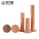 Guwanji flat head rivets GB 109 red copper rivets 304 flat head solid rivets stainless steel rivets hand hammered percussion flat bolt fasteners red copper M8x12 5 pcs