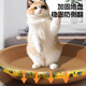Like pet cat scratching basin extra large round (comes with catnip) cat scratching board lint-free cat paw nest pet toy corrugated paper