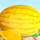 Dayu Yellow Heart Watermelon Seeds, Early Maturity, Yellow Skin, Red Flesh, Yellow Flesh, Special Xiaofeng Watermelon Seeds, Southern Fruit, Golden Beauty Watermelon Seeds, 100 Yellow Skin, Yellow Flesh