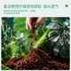 Stanley coconut bran bricks, coconut soil bricks, coconut bricks, nutritious soil, desalted flower soil, general purpose bricks for growing vegetables