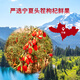 Jingyi OCC Ningxia Red Wolfberry Slurry Liquid NFC Juice No Additive Gifts for Elders Portable Pack 300ml