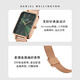 Daniel Wellington DW ladies watch small green watch fashion European and American watch classic retro small square watch New Year gift DW445