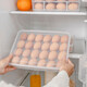 IRIS Refrigerator Storage Box Food Storage Kitchen Storage Box Vegetable Egg Storage Organizing Box Cabinet Drawer Storage Box Popular Single Layer Egg Box (can hold 24 pieces)