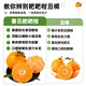 Jingdida Sichuan Chunjian Rake Mandarin Orange Baba Mandarin Net weight 9Jin Jin is equal to 0.5kg Large fruit 80-85mm fresh orange fruit straight from the source