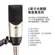 Sennheiser (SENNHEISER) MK4 large diaphragm professional recorder karaoke microphone condenser dubbing microphone anchor live singing MK4 MK4 + Yamaha UR22C sound card set