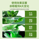 Green Hope Rich Bamboo Nutrient Solution Special Leaves Yellow Bamboo Branch Water Culture Hydroponic Fertilizer Green Plant Potted Soil Culture Transfer Bamboo