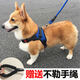 Five-tailed dog leash, dog leash, vest-type dog walking rope, harness, Corgi Shiba Inu medium and large dog chain, red harness + 1.5 meter leash S (recommended 10-18 Jin Jin equals 0.5 kg)