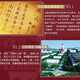 五粮液仙林生态黄金酒39/52度白酒 露酒   礼品酒 礼盒酒 收藏酒 52度 480mL 2瓶 黄金酒贵宾酒