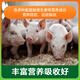 Zhengda Huadong Zhengda 4% piglet premix piglet feed is good in palatability and nutritious, comprehensively smoothes the skeleton, does not loosen the skin, and has bright fur