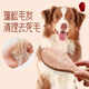 Black Bird pet handle comb cat and dog grooming brush special comb hair protection artifact massage air cushion needle comb cat comb small small/puppy dog