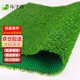 Lezijun simulated lawn, artificial turf, artificial fake lawn carpet, simulated plastic lawn mat, outdoor 2cm green net 2*4