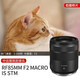 Canon RF full-frame professional mirrorless fixed focus lens suitable for R3 R5 second generation R5 R6 R6 second generation R7 R8 R10 R50 RP R100 wide-angle portrait macro lens RF85mm F2 IS STM official standard JD.com multi-warehouse delivery ~ fast next day delivery