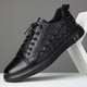 Gu Wenlun Large Size Men's Shoes 46 47 48 Extra Large Size Summer Sports Shoes 2025 Breathable Canvas Shoes Men's Extra Large Size Cloth Shoes Green 47