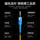 Shengwei (Shengwei) Fibre Jumper Sc-Sc Mode unique Network Single Core Network Intérieur Émetteur-récepteur Pignail Télécommunications Grade Shengwei Optical Spindle Cavy 1 Metter [FSC-1011] 5 mètres Mode simple Core [FSC-301]