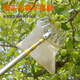EVANLEY fruit picking artifact telescopic pole picking persimmons, bayberry, plums, apricots, lychees, mango picking tool, high-altitude fruit picking tool, lighter/more stable 10-meter carbon pole set