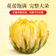 In the inner court, use Beijing Tongrentang chrysanthemum 50g/can of chrysanthemum tea herbal tea soaked in water and drink clear and healthy flower tea with honeysuckle wolfberry